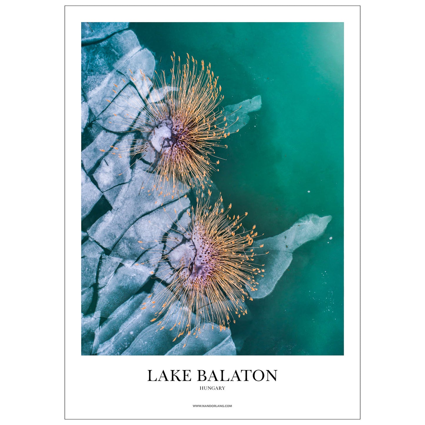 REEDLASHES (HUNGARY)