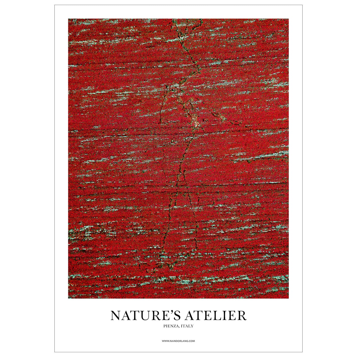 A CARPET OF POPPIES (ITALY)