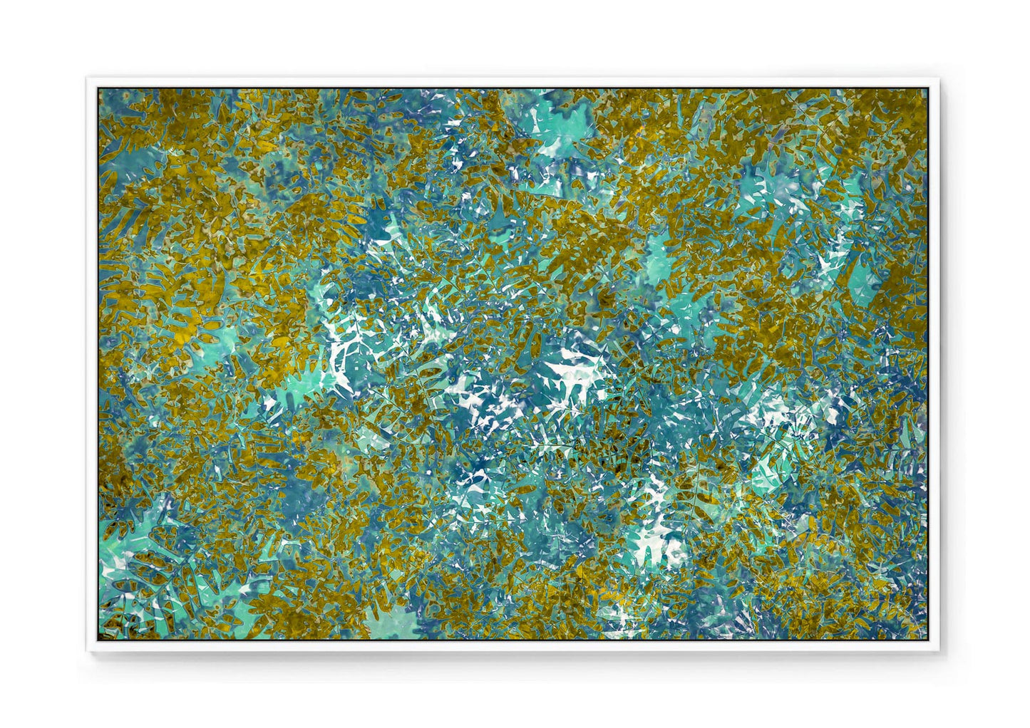 ACACIA LEAVES - Limited / 50